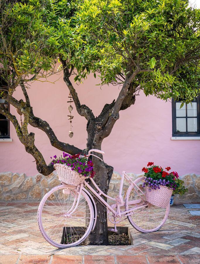 Quinta Aida Cottage And B&B Suites 라고아 외부 사진
