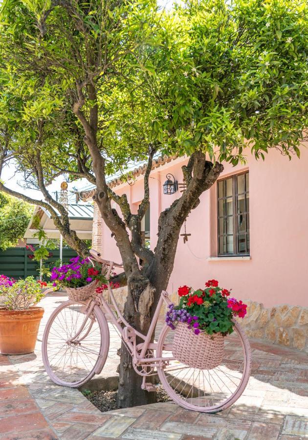 Quinta Aida Cottage And B&B Suites 라고아 외부 사진